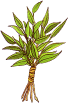 aravot.gif