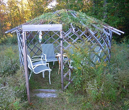 rachelsukkah.jpg