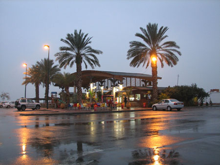 rt1oasis.jpg