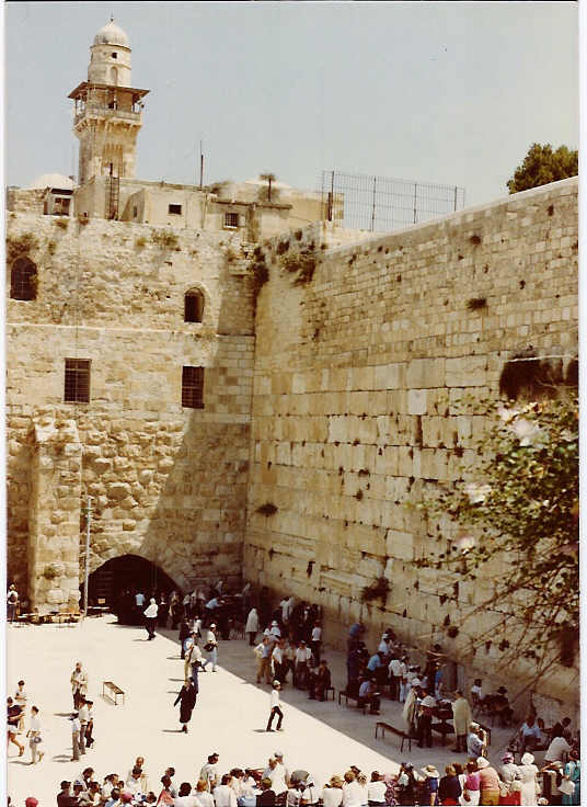scan0003.jpg