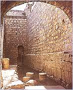 shiloach.jpg