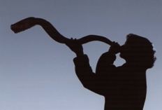 shofar3.jpg