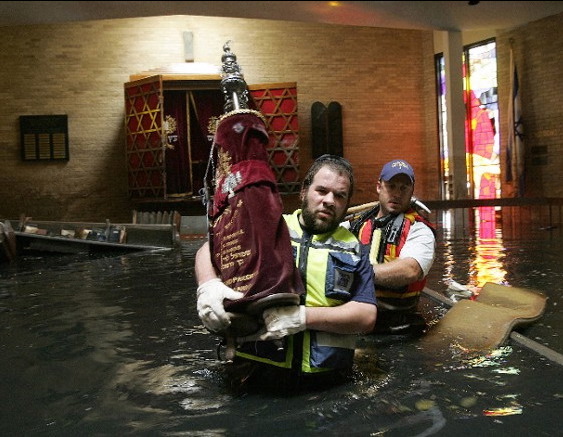 wading2.jpg